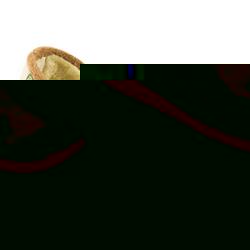 Female Koy800 Textile Upper Textile Lining Comfort House Mules and Slippers in Beige Multi, Burgundy Multi