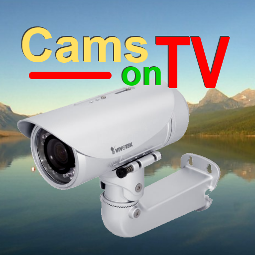 PC-Magic Software LLC CamsOnTV