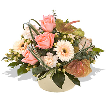 PEACH Sundae - flowers