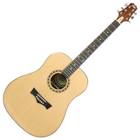 Peavey DW1 Acoustic Guitar