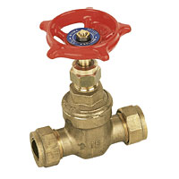 Gate Valve 22mm