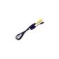 Video Cable 1-VC2