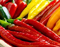 Pepper Chilli Plants - Assorted Collection