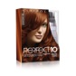 Perfect 10 LIGHT AUBURN 6R