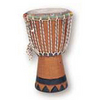 Performance Percussion DJE2 Djembe Drum