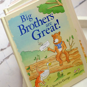 Personalised Big Brothers are Great Book
