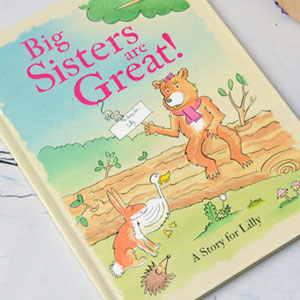 Personalised Big Sisters Are Great Book