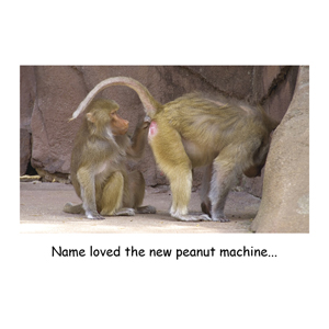 personalised Birthday Card - Funny Baboon