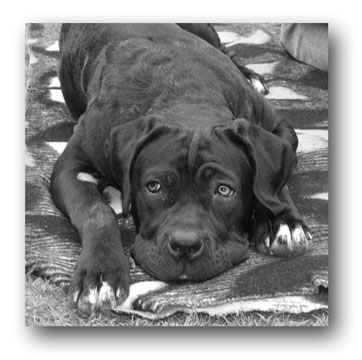 personalised Canvas Photo Print