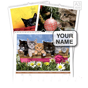 Personalised Cat Calendar