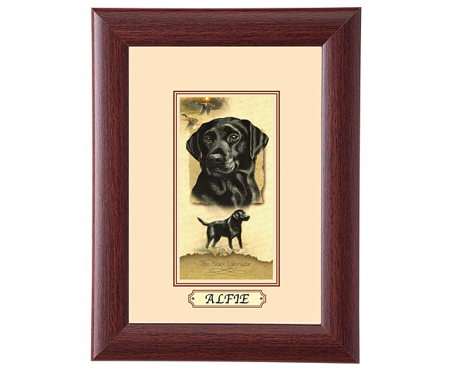 personalised Framed Dog Breed Picture - Black