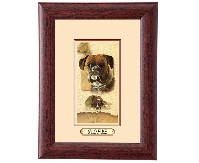 Framed Dog Breed Picture - Boxer
