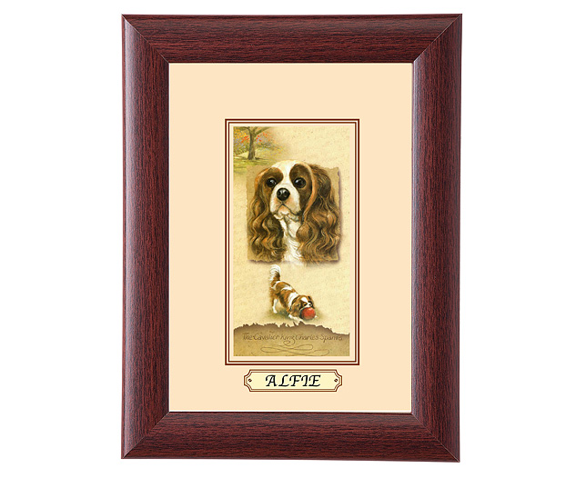 personalised Framed Dog Breed Picture - Cavalier King Charles Spaniel