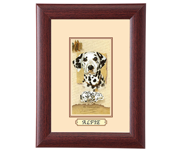 personalised Framed Dog Breed Picture - Dalmatian