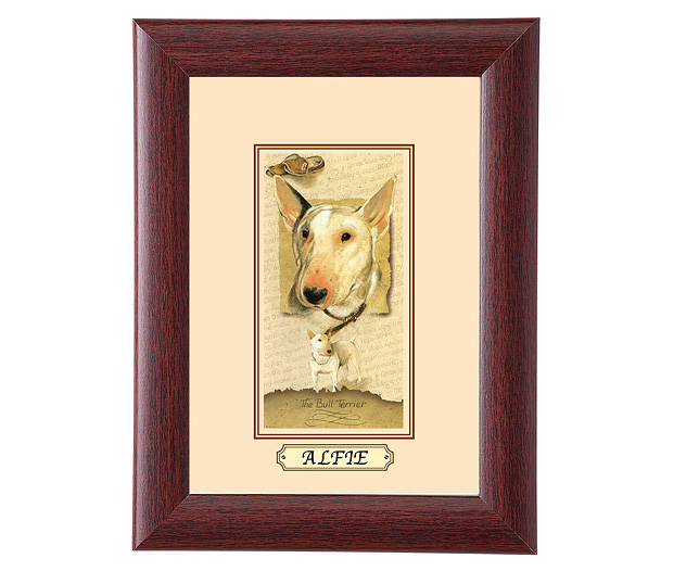 personalised Framed Dog Breed Picture - English Bull Terrier
