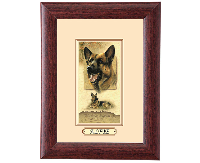 personalised Framed Dog Breed Picture - German Shepherd