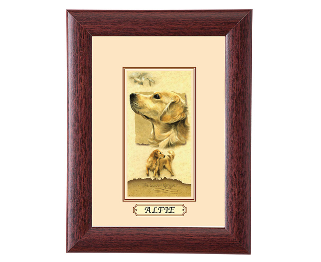 personalised Framed Dog Breed Picture - Golden