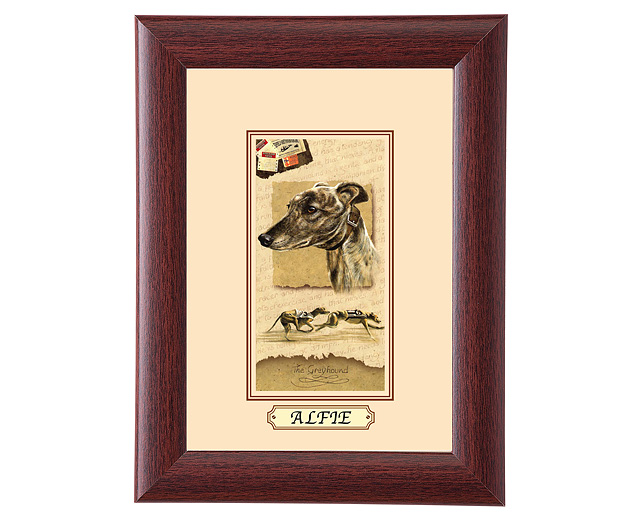 personalised Framed Dog Breed Picture - Greyhound