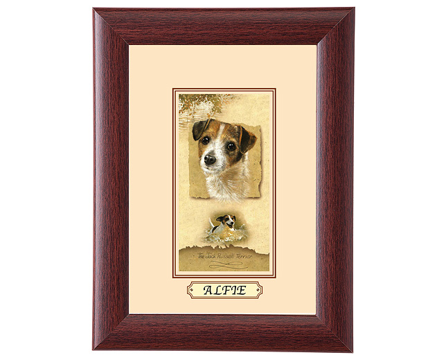 personalised Framed Dog Breed Picture - Jack Russell