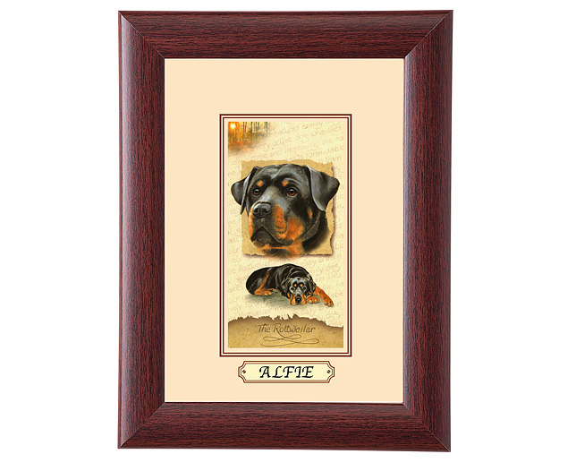 personalised Framed Dog Breed Picture - Rottweiler