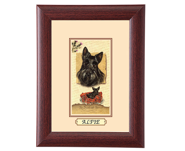 personalised Framed Dog Breed Picture - Scottish Terrier
