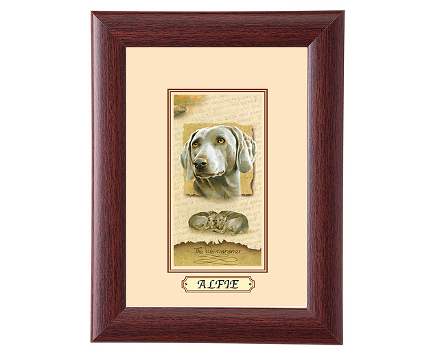 personalised Framed Dog Breed Picture - Weimaraner