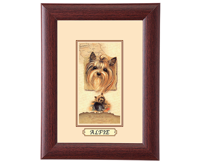 personalised Framed Dog Breed Picture - Yorkshire Terrier