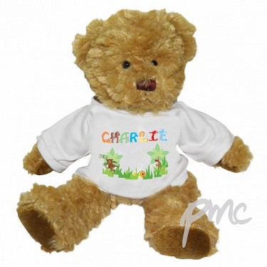 Personalised Gift Teddy with Boys Animal Alphabet T-shirt
