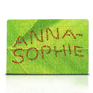 Personalised Ladybird Jigsaw