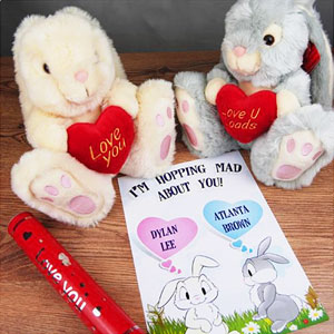 Personalised Love Bunny with Declaration of Love
