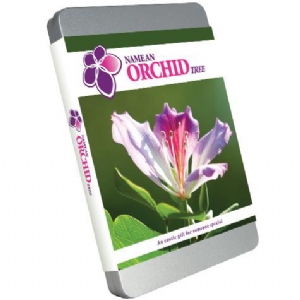 Personalised Name An Orchid Gift Pack