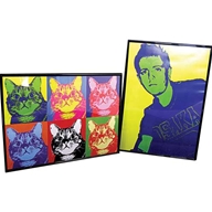 Personalised Pop Art Kit DD