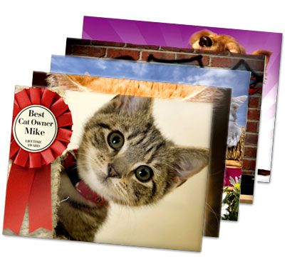 Personalised Posters - Animals