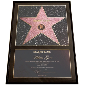 Personalised Star of Fame - Star of Fame