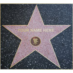personalised Star of Fame