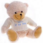 Personalised Teddy Bear - 10`