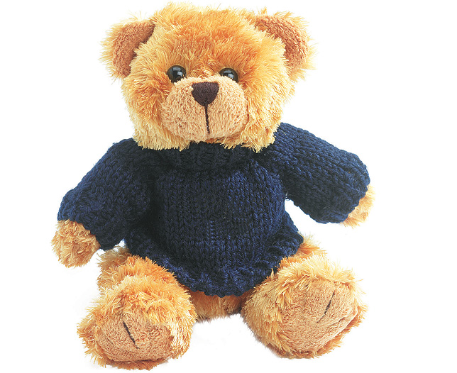 Personalised Teddy Bears Chubby Bear