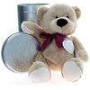 Personalised Tinned Teddy With Engraved Message
