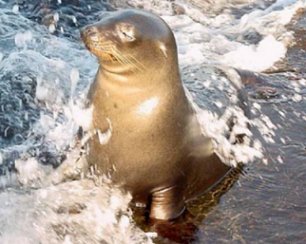 Peru and Galapagos adventure holiday