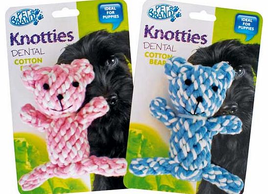 Knotty Teddy Bear Dog Toy
