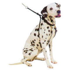 Pet Brands Easy Walk Training Harness