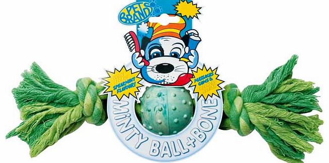 Pet Brands Minty Ball and Bone Dog Toy - Large