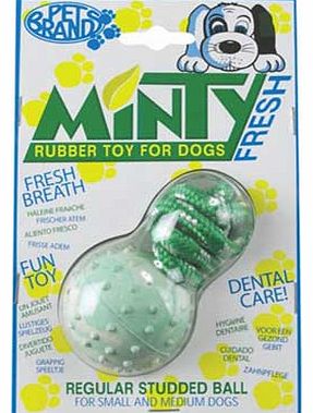 Pet Brands Minty Fresh Rubber Ball Dog Toy - Large