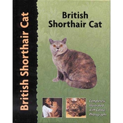 Petlove Breed British Shorthair Cat Breed Book