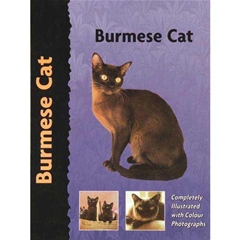Petlove Breed Burmese Cat Breed Book