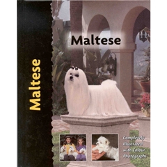 Maltese Dog Breed Book
