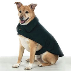 Pets at Home Small Blue/Green Waxed Dog Coat by Pets at Home