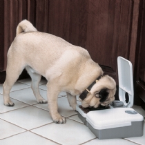 PetSafe 2 Meal Feeder 2 X 150Ml Bowls : Pf2-19