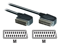 philips SWV2540W - video / audio cable - 1.5 m