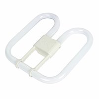 Philips 2D 4Pin Lamp 38W